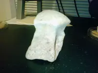 082409_0219[00].webp