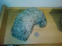 082409_0223[02].webp