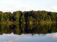 Rippled beauty.webp