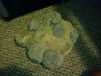 082409_0305[01].webp