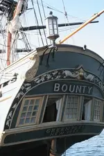 bounty.webp