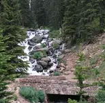 closeup falls.webp