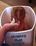 3733759946_8b988f8a0f copy.webp