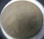 Buffalo Nickel 002.webp