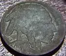 Buffalo Nickel 008.webp