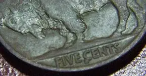 Buffalo Nickel 011.webp