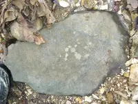 Rock.webp