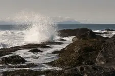 waves ocean beach rocks.webp