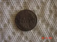 DSC09073.webp