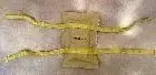 AMU2823.webp