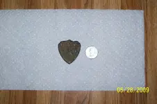 100_0697.webp