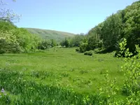 phpNBNJRfPM.webp
