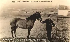 Comanche_1886.webp