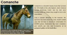 Comanchee-101.webp