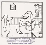 final dogs.webp