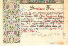 svezas t copy.webp