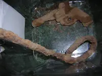 DSCN5457.webp