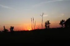 bluestem sunset.webp