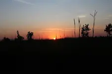bluestem sunset2.webp