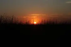 bluestem sunset3.webp