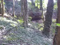 Cave Entrance.webp