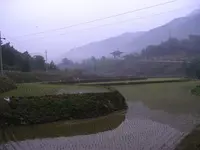 SANY0004.webp