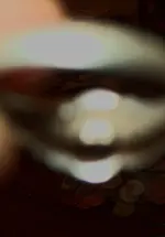 103_0221.webp