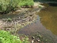 004.webp