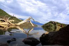 nofishagain.webp