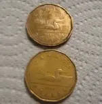 2 Loonies [640x480].webp