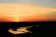 panhandlea.webp