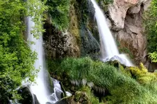 riflec.webp