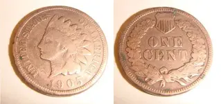 Indian small.webp