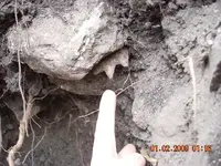 DSCN0003.webp