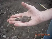 DSCN0005.webp