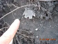 DSCN0009.webp