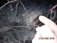 DSCN0023.webp