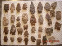 DSCN0031.webp