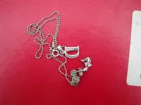 DSCN0422.webp