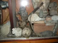 DSCN8095.webp