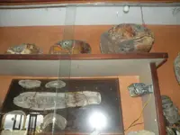 DSCN8096.webp