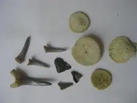 Wade and I, finds at the sand pit Aug 25, 09 001.webp