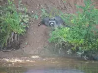 100_2025.webp 100_2025.webp