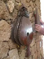 DSCN8118.webp