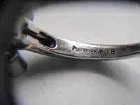 platring.webp