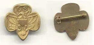 Girl Scout Pin FB.webp