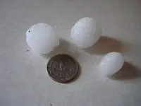 hail 1.webp