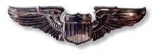 Pilot wings.webp