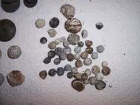 000_0155.webp
