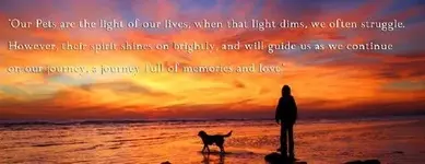 sunset&dog (2).webp sunset&dog (2).webp